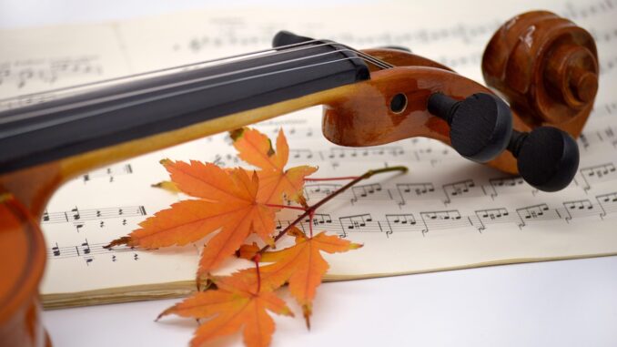 Ilustrační foto. Zdroj: Pixabay.com