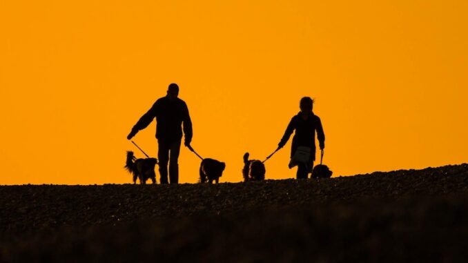 Foto: Zdroj foto: Pixabay.com