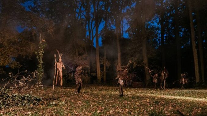 Slavnost stromů, večerní rituál. Foto: Ondřej Vraštil. Zdroj: Valdštejnská lodžie