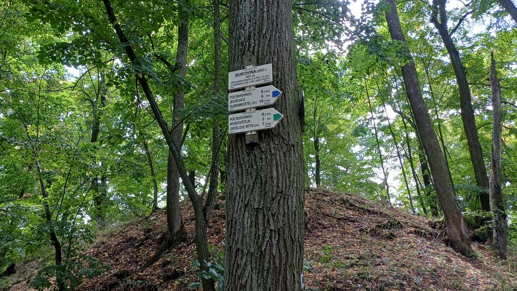 Turistický rozcestník na návrší u zříceniny hradu Bukovina. Foto: Anna Petruželková