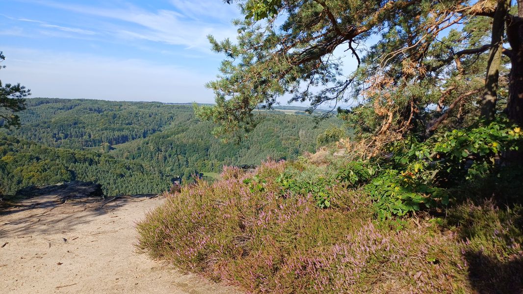 Skalní vyhlídka nad Pustým zámkem na Kokořínsku. Foto: Anna Petruželková
