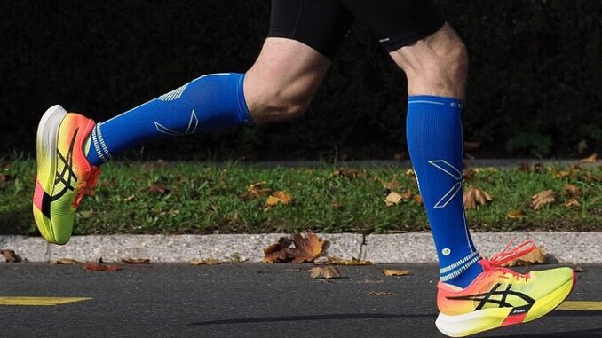 Zdroj foto:commons.wikimedia.org