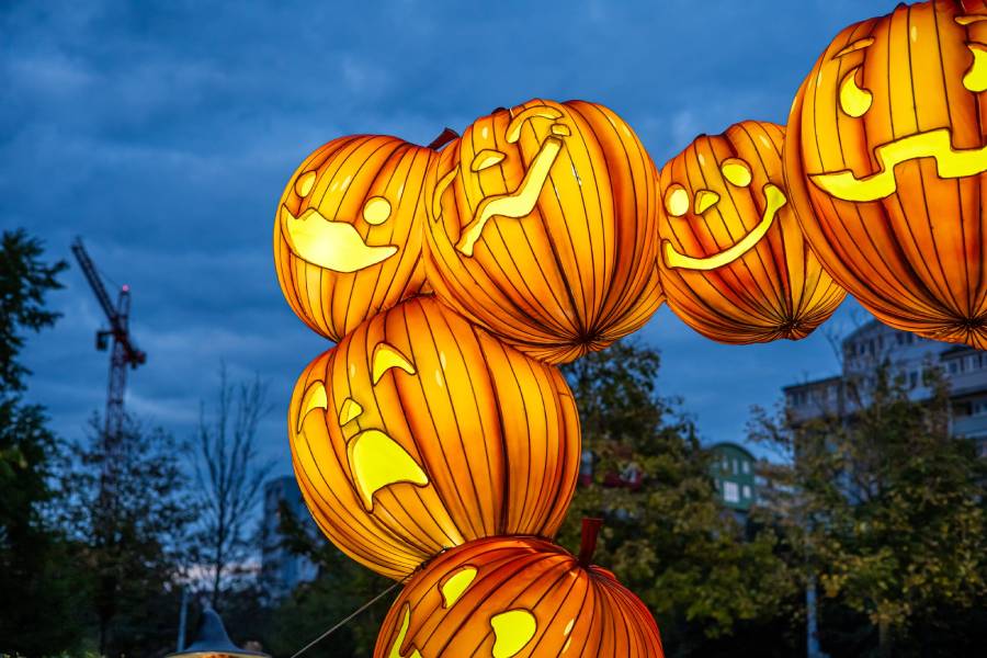 Světelné dýně ve Wonderlandu Praha. Zdroj: JVS Trade Group