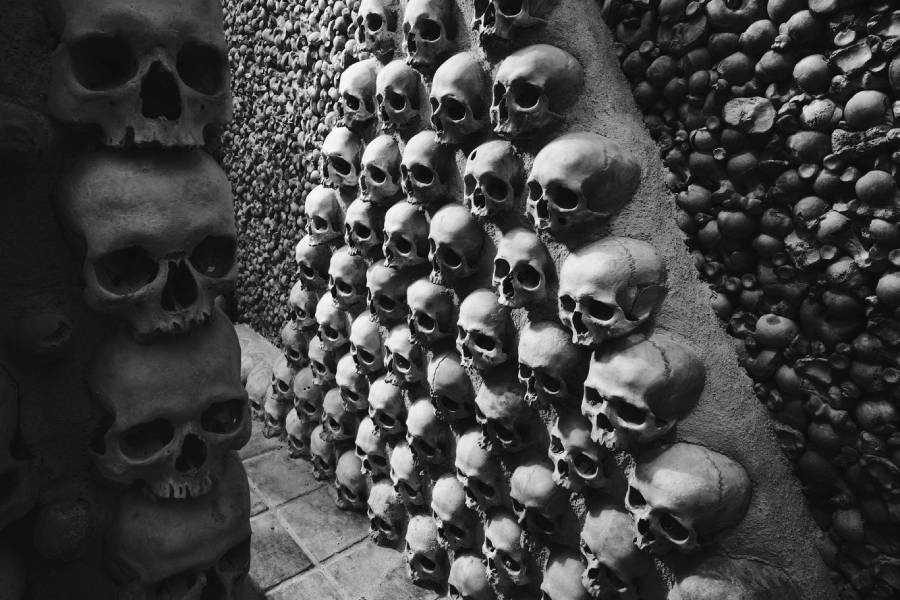 Snímky z českých kostnic. Foto: Miroslav Hlinka. Zdroj: Zámecké návrší z. ú.