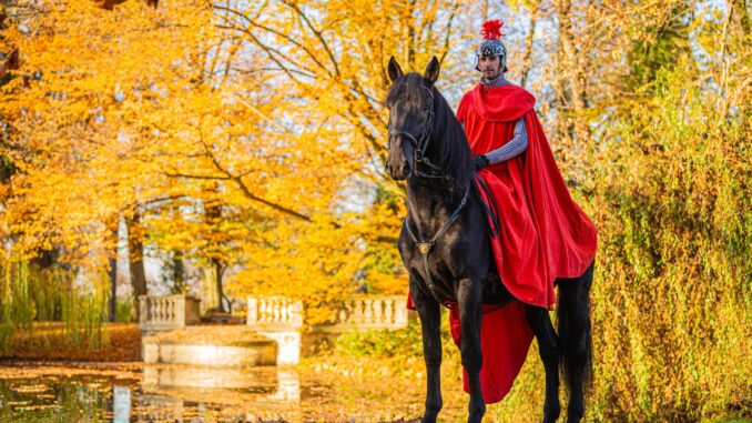Zdroj: Národní Hřebčín Kladruby