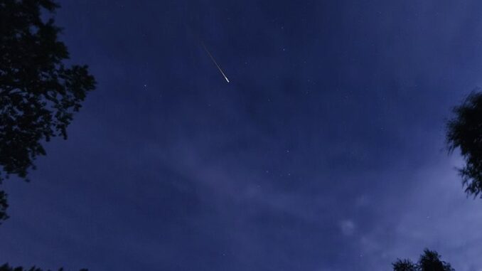 Zdroj foto:commons.wikimedia.org