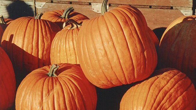 Ilustrační foto: commons.wikimedia.org