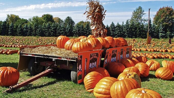 Zdroj foto:commons.wikimedia.org