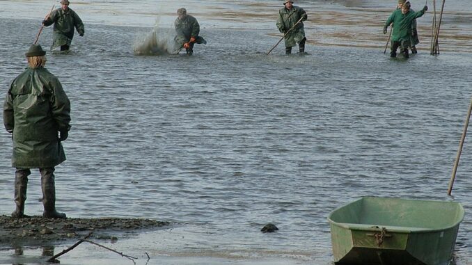 Zdroj foto:commons.wikimedia.org
