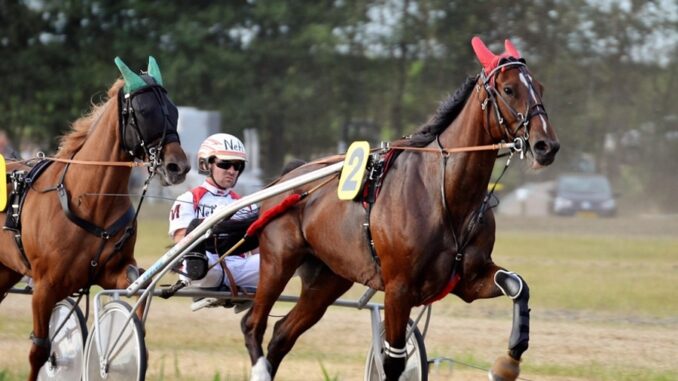 Zdroj foto: Pixabay.com