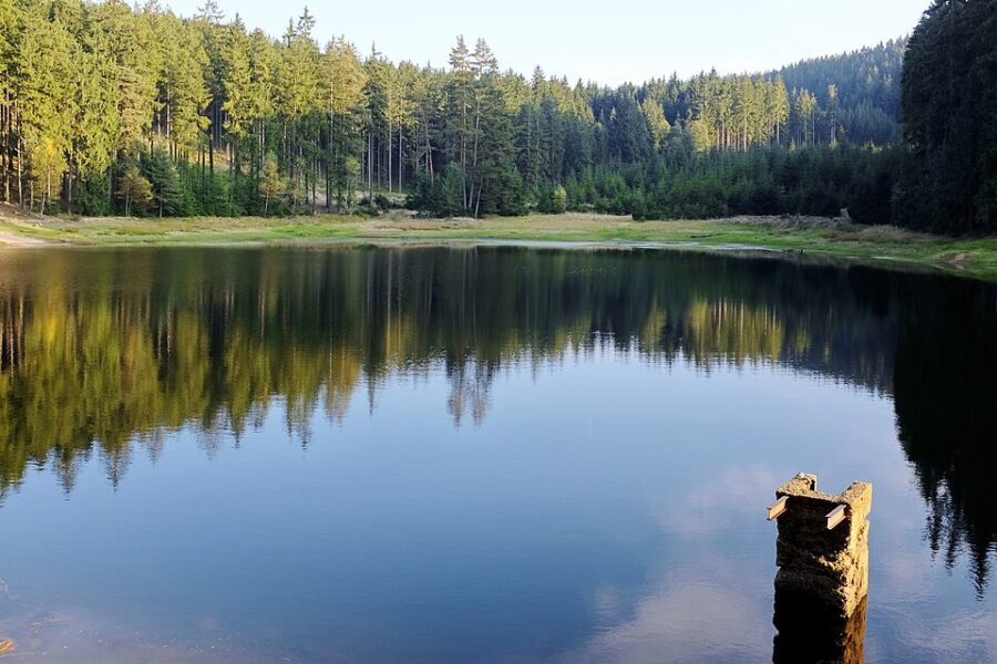 Přírodní památka Na Vážkách. Autor: Lubor Ferenc. Zdroj: <a href="https://commons.wikimedia.org/wiki/File:PP_Na_V%C3%A1%C5%BEk%C3%A1ch_(2).jpg">Creative Commons</a>