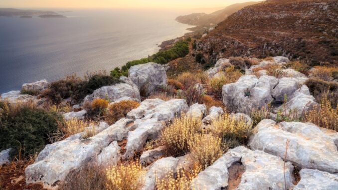 Zdroj foto: Pixabay.com