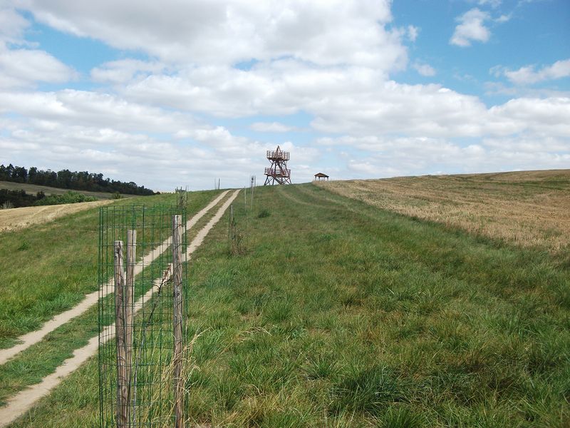 Rozhledna Jehla u Třebichovic ve Středočeském kraji. Zdroj: <a href="https://www.rozhlednovymrajem.cz/">rozhlednovymrajem.cz</a> 