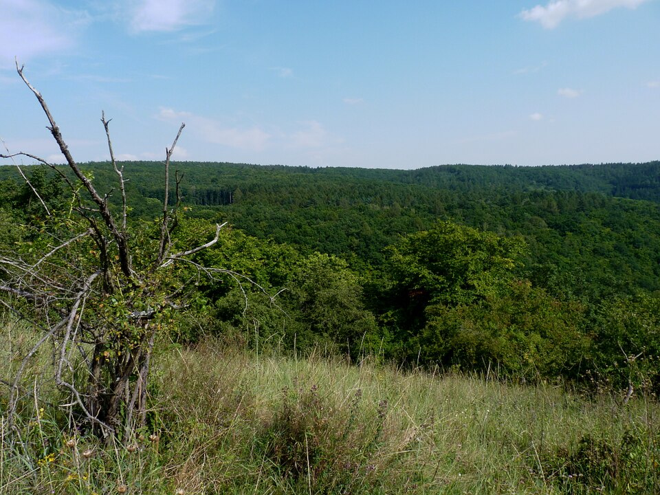 Přírodní rezervace Velký Hornek. Autor: Magairlin, licence GNU Free Documentation License, verze 1.2. Zdroj: <a href="https://commons.wikimedia.org/wiki/File:Velk%C3%BD_Hornek,_v%C3%BDhled.jpg">Wikimedia Commons</a>