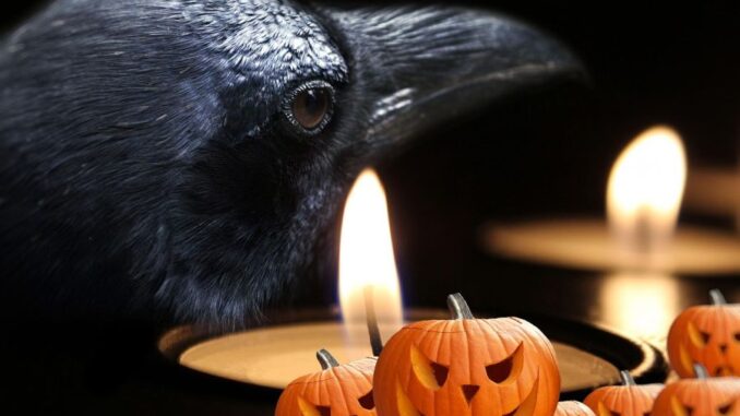 Zdroj foto: Pixabay.com