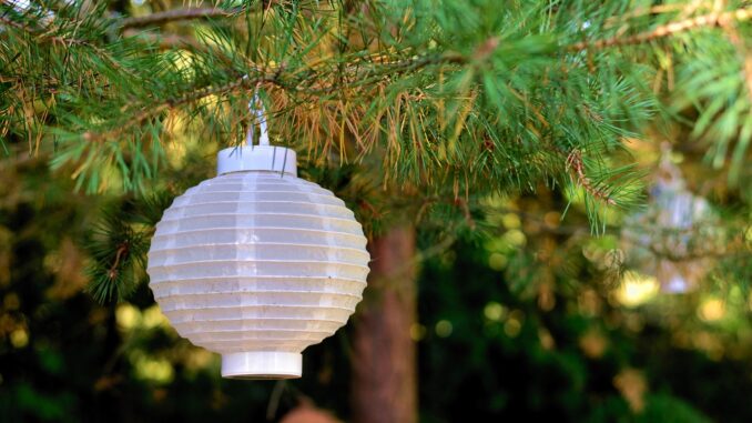 Ilustrační foto. Zdroj: Pixabay.com