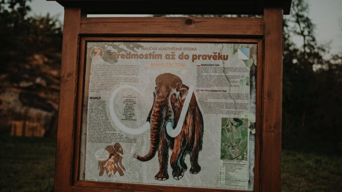 NS Předmostím až do pravěku