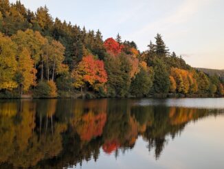 Záskalská přehrada