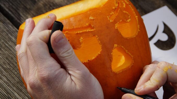 Ilustrační foto. Zdroj: Pixabay.com