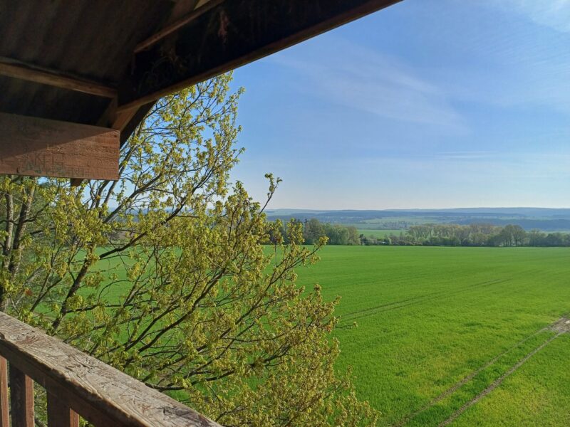 Výhled z jihočeské rozhledny Radětice. Foto: Anna Petruželková