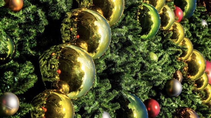 Zdroj foto: commons.wikimedia.org