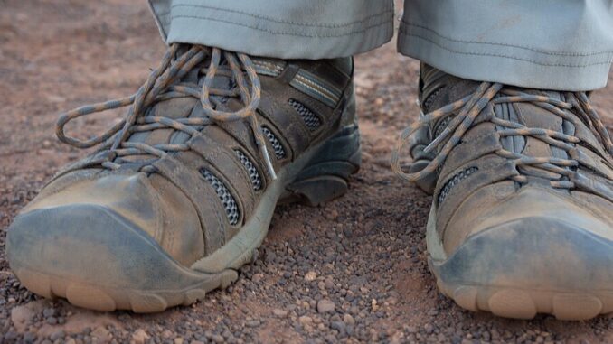 Zdroj foto: commons.wikimedia.org