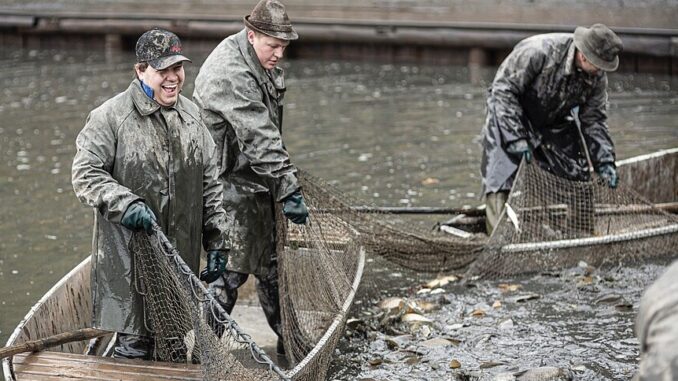 Zdroj foto: commons.wikimedia.org