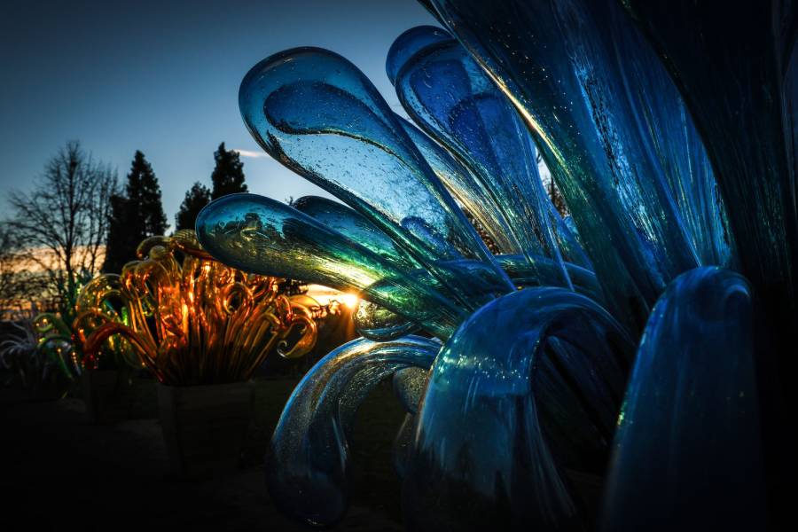 Křišťálová zahrada, to je zářivá galerie skla a světla. Zdroj: Botanická zahrada Praha