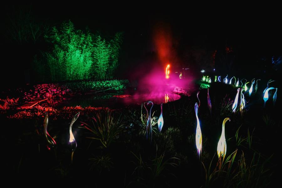 V Křišťálové zahradě nebude chybět skleněná fauna. Zdroj: Botanická zahrada Praha