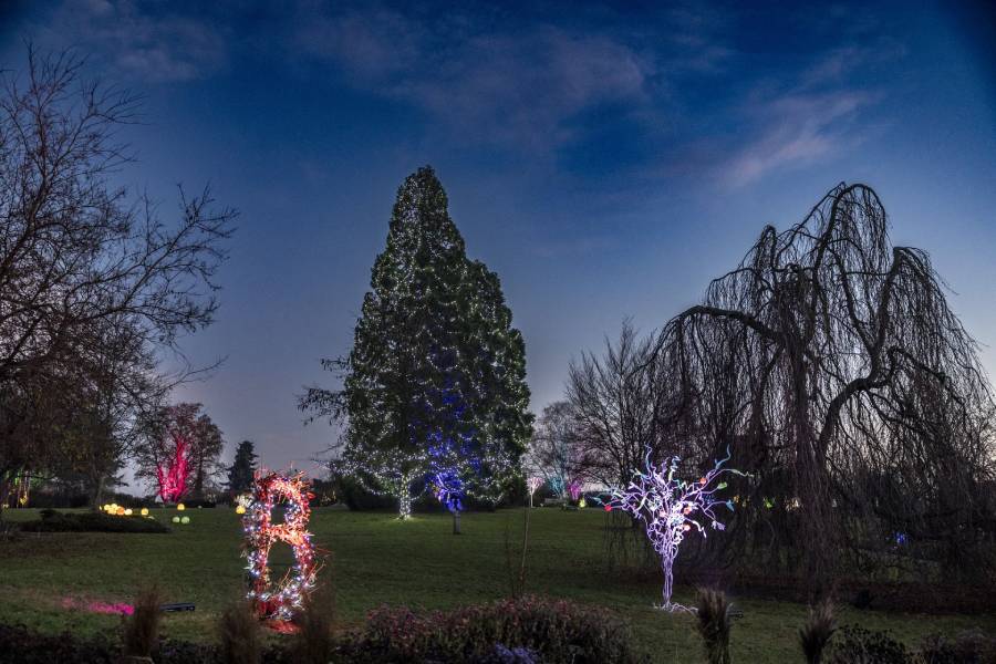 Zimní noc v Troji rozkvétá světlem – Křišťálová zahrada znovu otevírá své brány. Zdroj: Botanická zahrada Praha