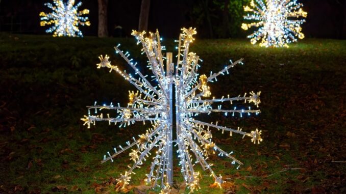 Zdroj foto: Pixabay.com