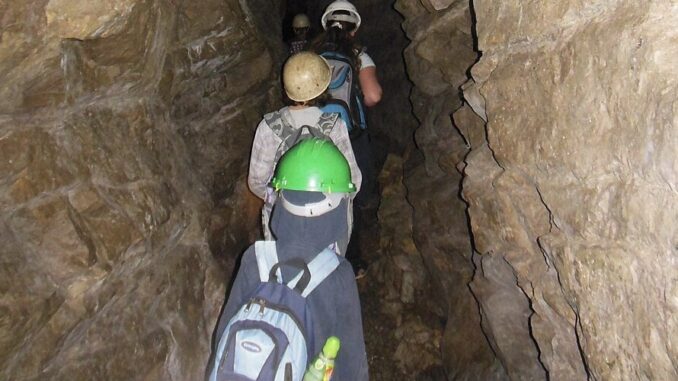 Zdroj foto: commons.wikimedia.org