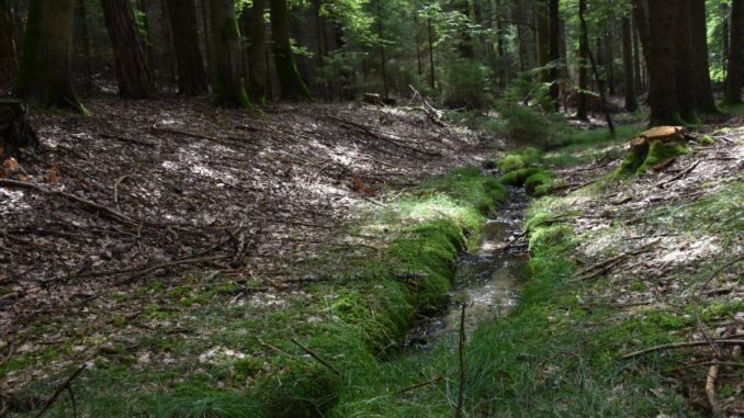 Zdroj foto: FB Fotosen