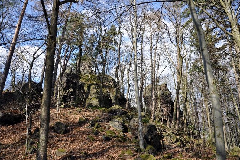 Zřícenina hradu Homberk u Příkosic v okrese Rokycany. Foto: Petr Fabian. Zdroj: <a href="http://www.hrady-zriceniny.cz">Hrady-zříceniny.cz</a>