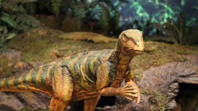 Zdroj foto: Pixabay.com