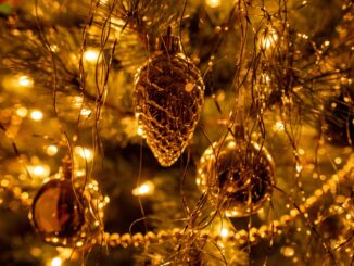 Zdroj foto: Pixabay.com