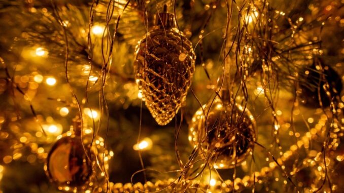 Zdroj foto: Pixabay.com