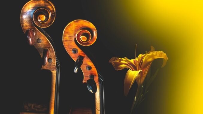 Zdroj foto: Pixabay.com