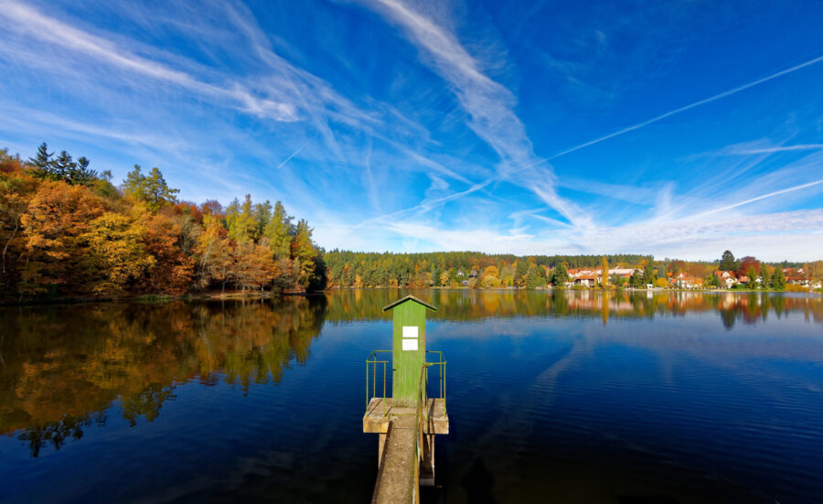Národní přírodní rezervace Voděradské bučiny. Zdroj: Shutterstock.com/1937424790/Michal Kostka