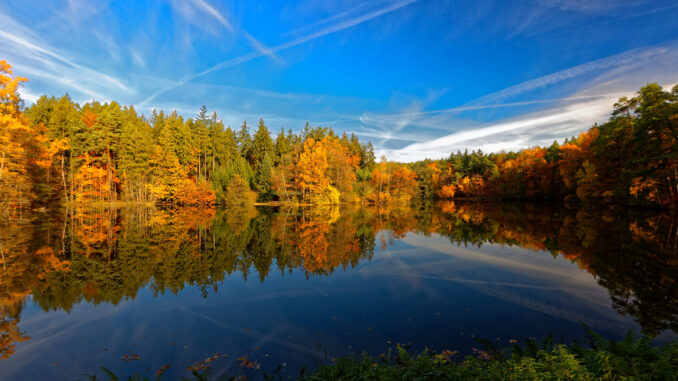 Národní přírodní rezervace Voděradské bučiny. Zdroj: Shutterstock.com/1937425285/Michal Kostka