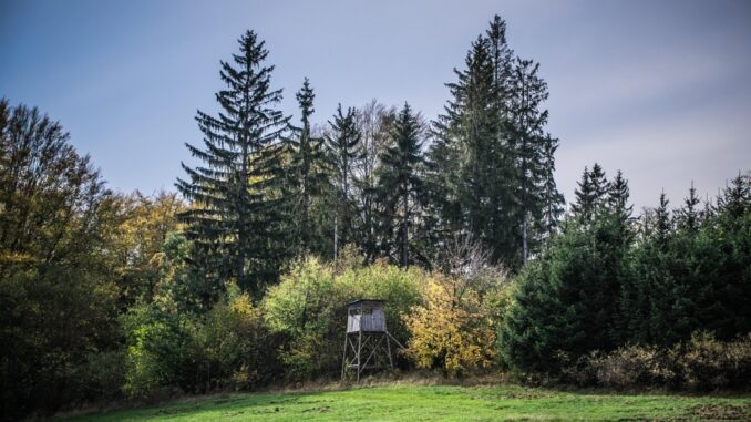 Zdroj foto: Pixabay.com