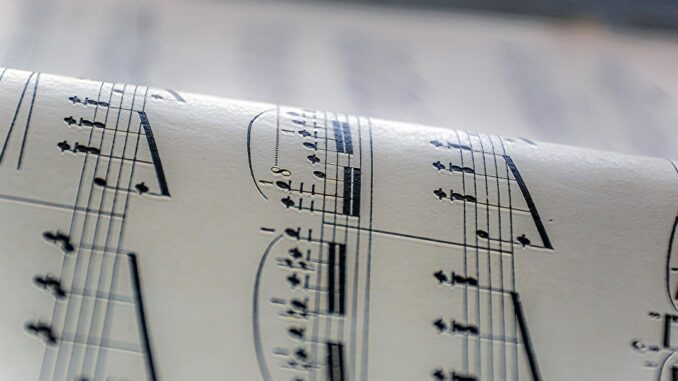 Zdroj foto: Pixabay.com