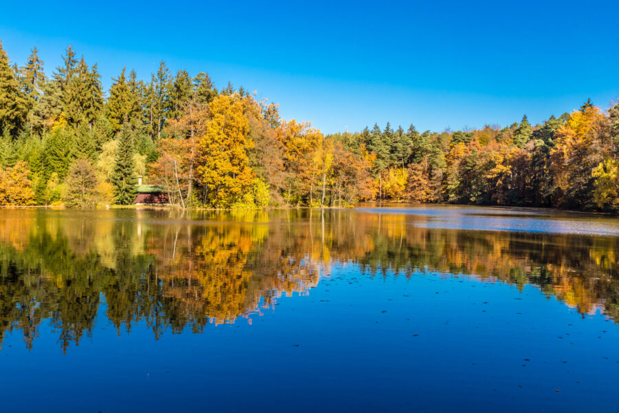Rybník Švýcar u Jevan. Zdroj: Shutterstock.com/1020370120/Zdenek Matyas Photography