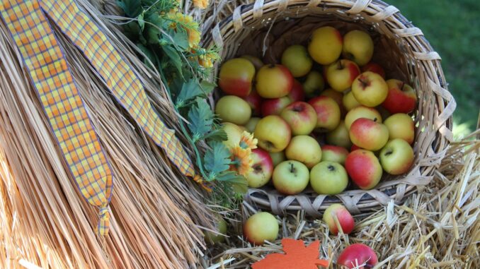 Ilustrační foto. Zdroj: Pixabay.com