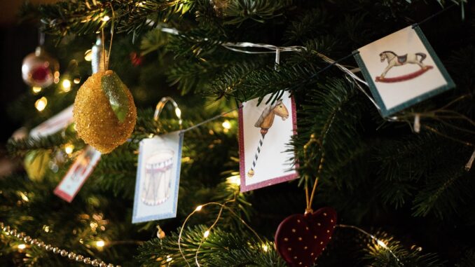 Ilustrační foto. Zdroj: Pixabay.com