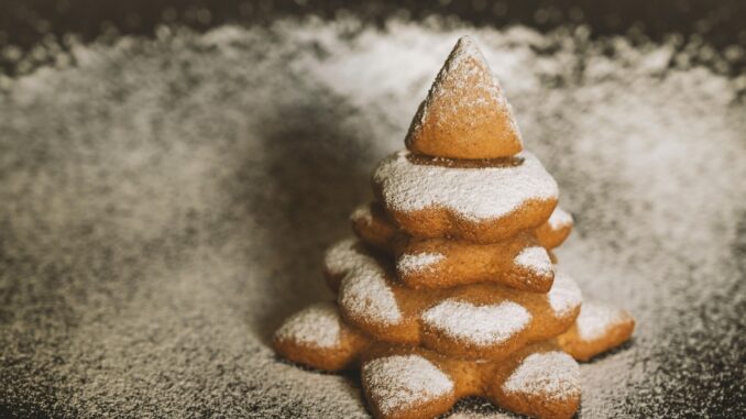 Ilustrační foto. Zdroj: Pixabay.com