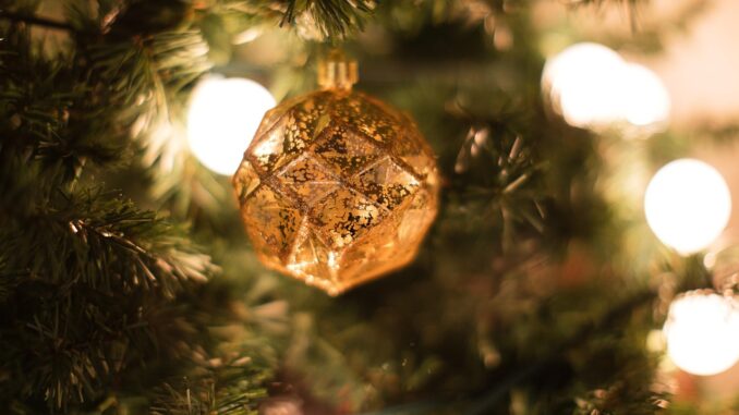 Ilustrační foto. Zdroj: Pixabay.com