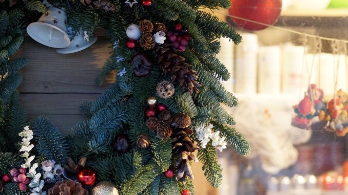 Ilustrační foto. Zdroj: Pixabay.com