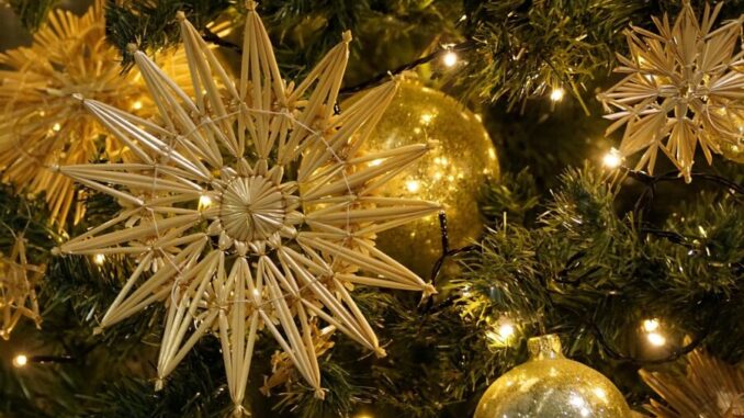 Ilustrační foto. Zdroj: Pixabay.com