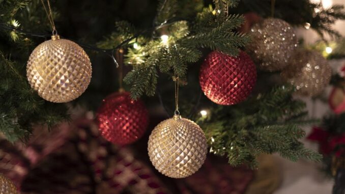 Zdroj foto: Pixabay.com